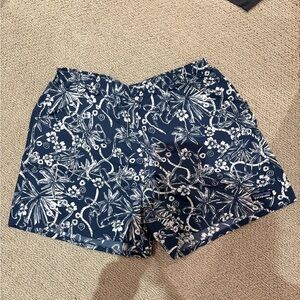 Patagonia Men's Blue Swim Shorts